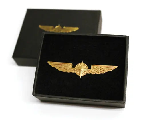 Pilot Wings Brooch Sky Wing